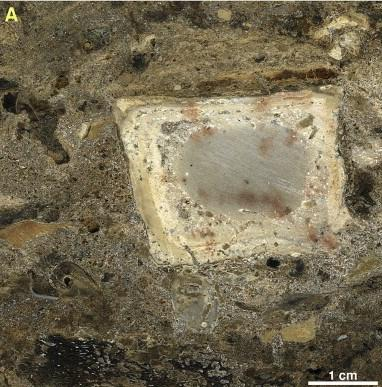 Illustration for article titled Archaeologists Uncover 300,000-Year-Old Kitchen in Israeli Cave